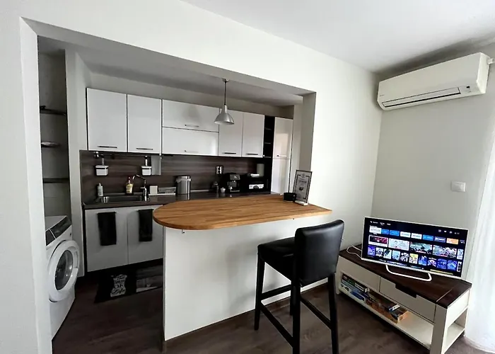 公寓 With Balcony - 10 Min To & Center *